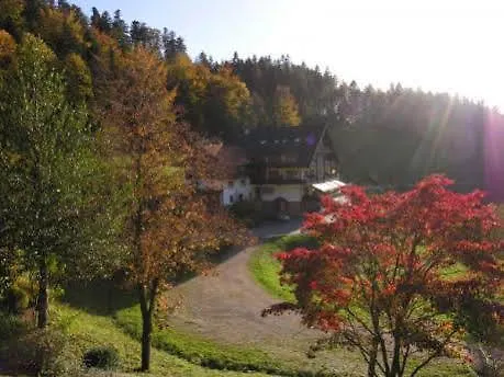 Md Waldhotel Palmspring 3* Bad Peterstal-Griesbach