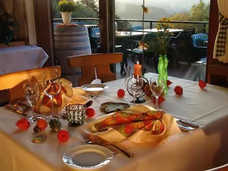 Md Waldhotel Palmspring 3* Bad Peterstal-Griesbach