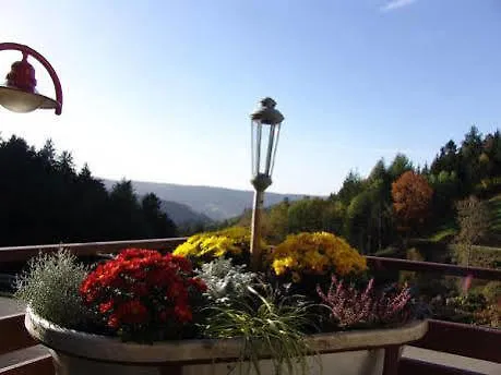 Md Waldhotel Palmspring 3* Bad Peterstal-Griesbach